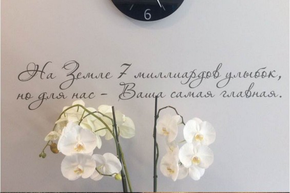 Сегодня клиника Мона Лиза празднует свой первый день рождения!