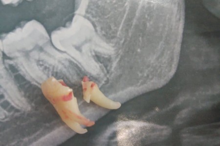 Наши работы